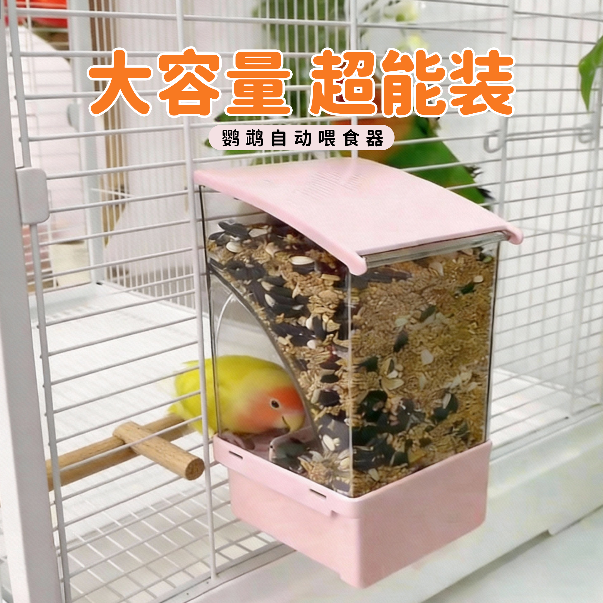 鹦鹉自动喂食器一体机挂式防撒溅小鸟食盒谷壳分离新款自动下料芰,宠物/宠物食品及用品,鸟禽喂食器/喂水器,淘宝优惠券,粉丝福利购,淘宝优惠卷