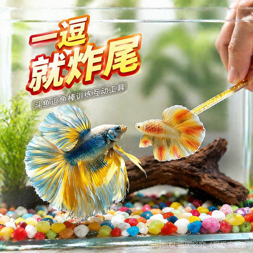 斗鱼逗鱼棒展尾训练互动小工具