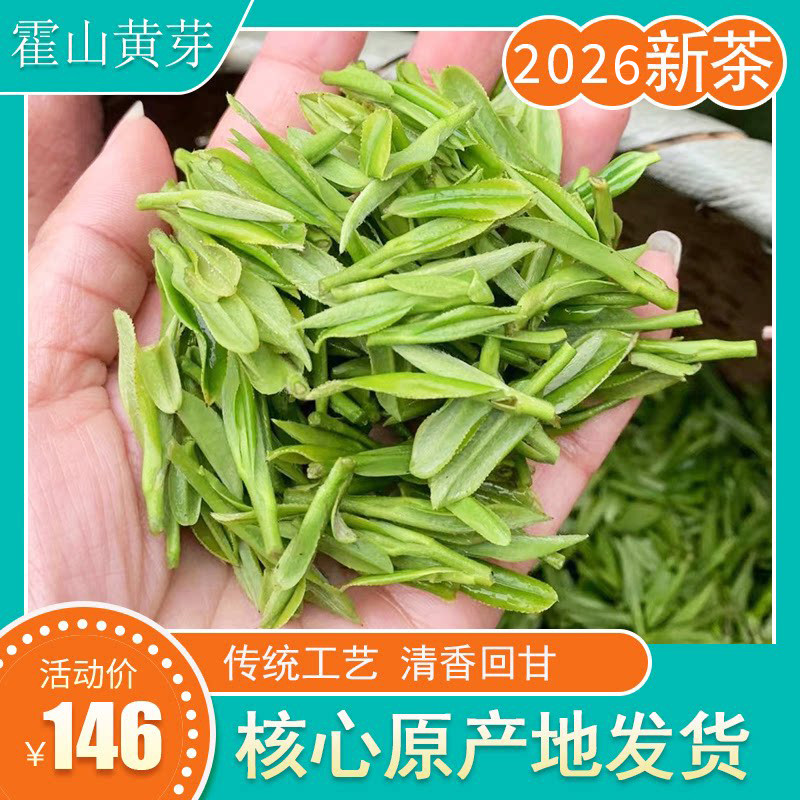 新茶上市霍山黄芽2026新茶清明前黄牙茶叶一级大化坪黄茶250g罐装