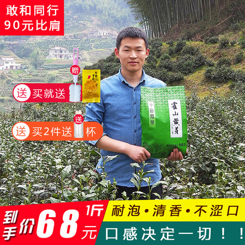 安徽霍山黄芽新茶礼盒装