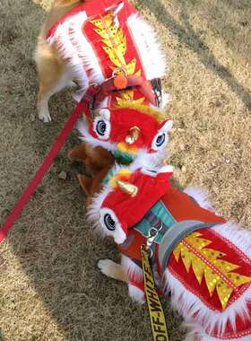 拉布拉多金毛萨摩耶狗狗衣服大型犬卫衣加绒秋冬过年舞狮装保暖