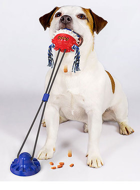 新款狗狗玩具耐咬磨牙洁齿发声漏食球带吸盘拔河拉力球发声解闷