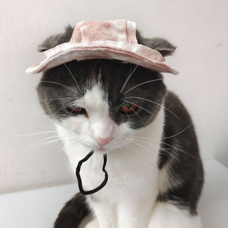 可爱宠物猫咪狗狗露耳朵渔夫帽