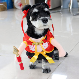 新款宠物哪吒衣服带头套猫咪狗狗万圣节搞怪变身装站立立体薄款