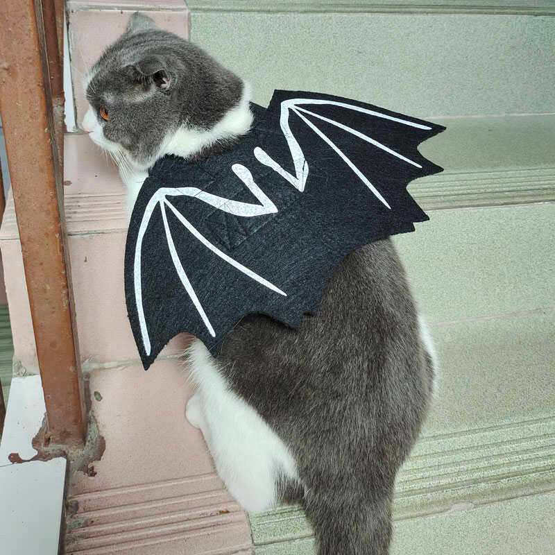 万圣节猫咪狗狗蝙蝠翅膀衣服