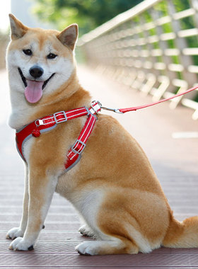 泰迪柯基比熊狗狗胸背带透气舒适背心式牵引绳防挣脱反光遛狗绳