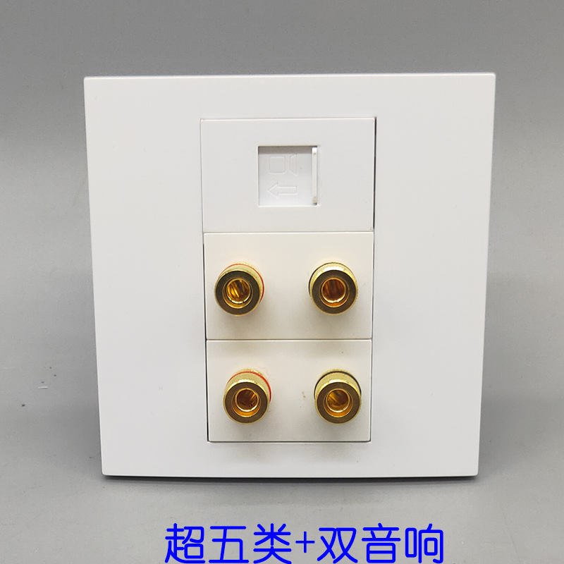 86型双音响CAT5E网络六类直通面板2组4孔音箱线5.1环绕香蕉头插座