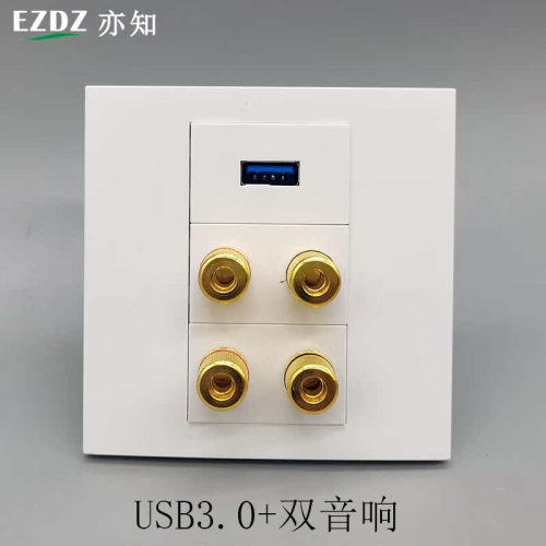 86型双音响USB3.0数据线直插2.0电视四头音箱音频多媒体开关面板