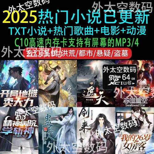 TX电子书小说内存卡FMP34