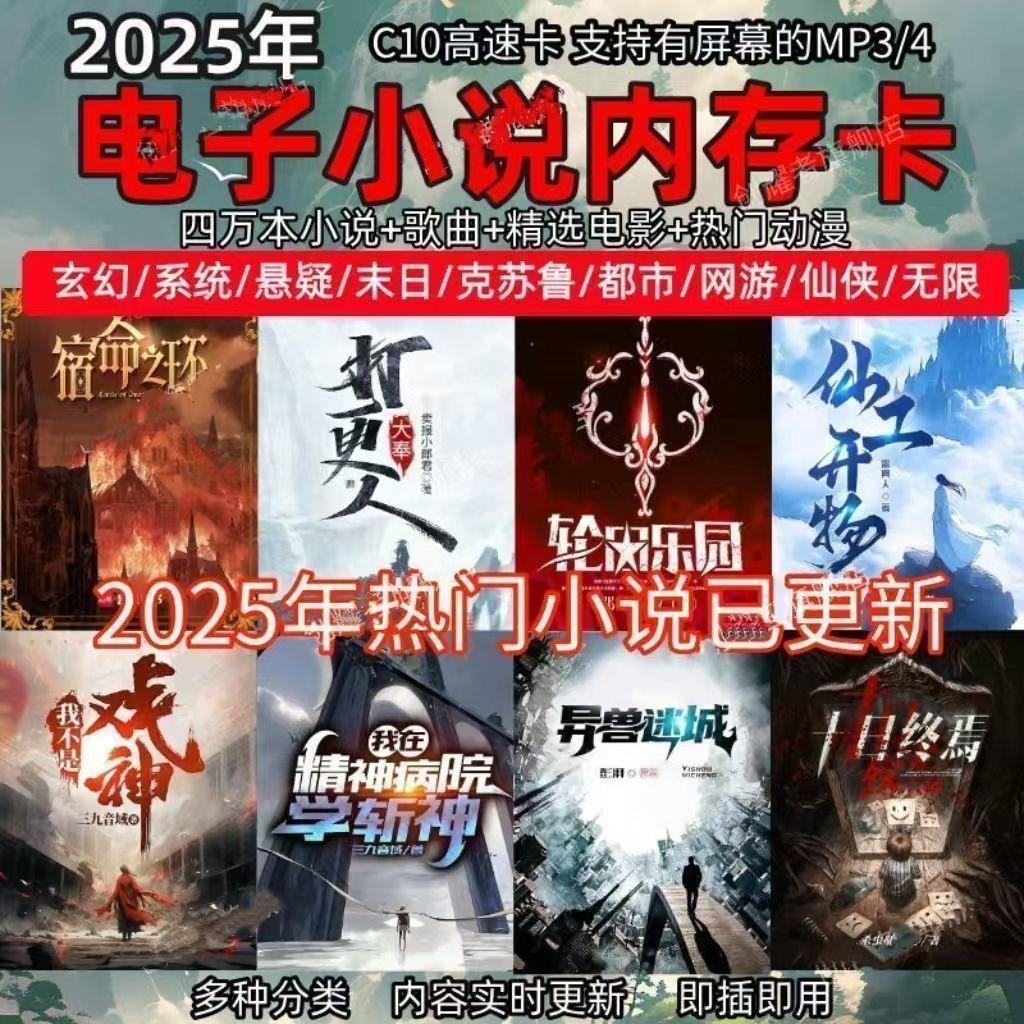 玄幻小说内存卡TX电子书FM