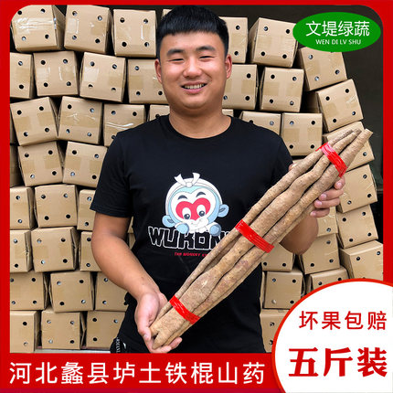垆土铁棍山药5斤装河北蠡县特产新鲜卢土铁杆农家自产自销