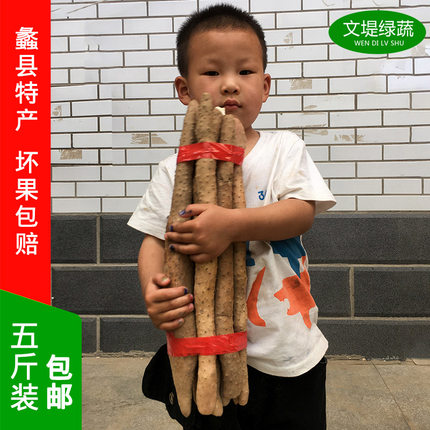 垆土铁棍30-40厘米5斤装蠡县特产农家自产自销新鲜软糯铁杆好吃