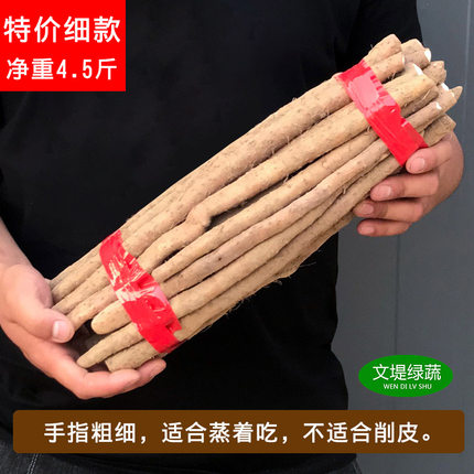 铁棍山药段4.5斤装20-40厘米细款山药段新鲜河北蠡县农家自产自销