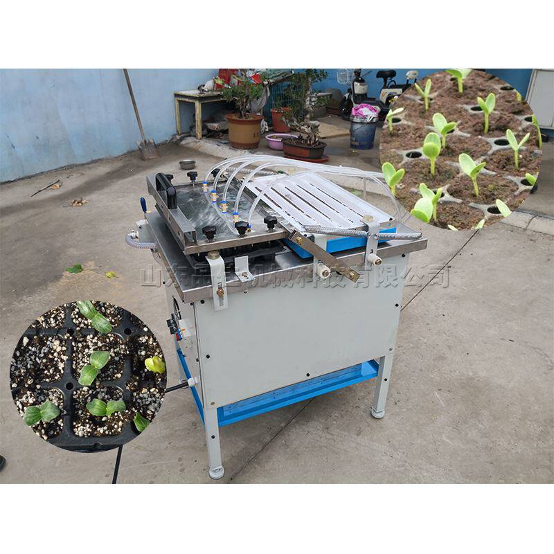 辣椒蔬菜穴盘育苗机 农用花卉用穴盘播种机 不锈钢作物种子种植机