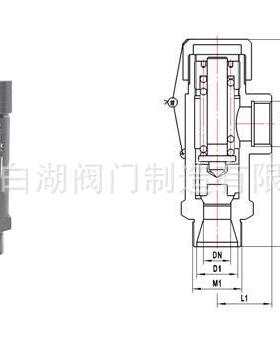 DA21F-25P低温安全阀LNG液化气天然气安全阀 外螺纹低温安全阀