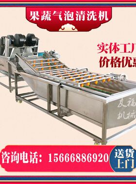 海带浸泡脱盐清洗机 酸枣叶气泡清洗机 全自动果蔬气泡清洗机