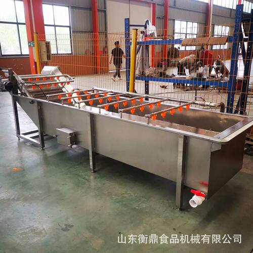 全自动蔬菜清洗沥水风干机 软包装袋气泡清洗机大枣清洗风干设备