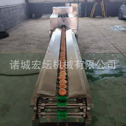 不锈钢鸡蛋清洗机洗蛋机 新型全自动禽蛋类清洗设备 功能齐全