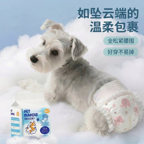 猫咪尿不湿宠物纸尿裤拉拉裤狗狗生理裤公猫母猫小猫尿布猫咪专用