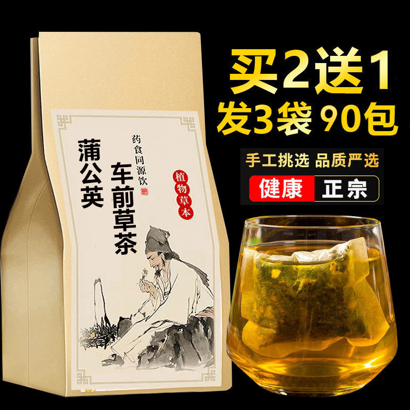 车前草蒲公英茶买2送1
