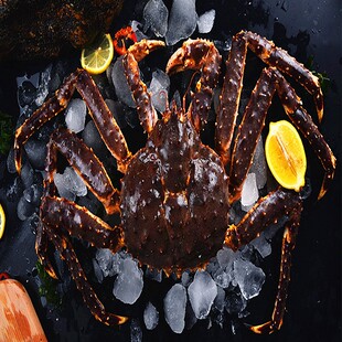 俄罗斯进口鲜活生冻大帝王蟹 10斤皇帝蟹冻蜘蛛蟹大螃蟹年货礼盒