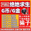 PUBGG币绝地求生G币金币吃鸡gb游戏币点卷CDK官方充值激活兑换码