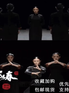 咏春表演练功舞蹈太极服