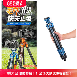 凯唯斯 闪电豹三脚架套装 大师版 294C 新升级双板可竖拍 CAVIX