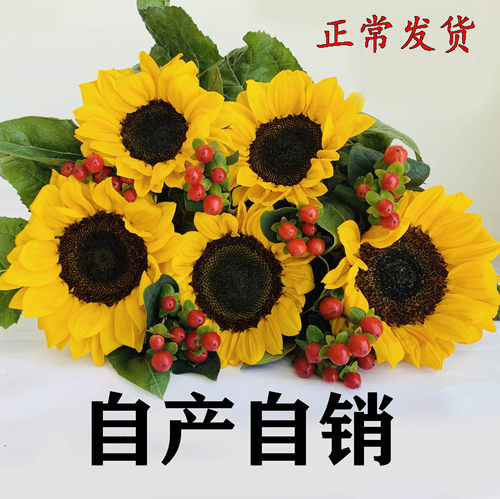 红豆花束价格 红豆花束图片 星期三