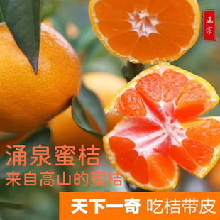 当季水果宫川蜜桔台州涌泉蜜橘5斤10斤包邮新鲜多汁早熟超甜蜜桔