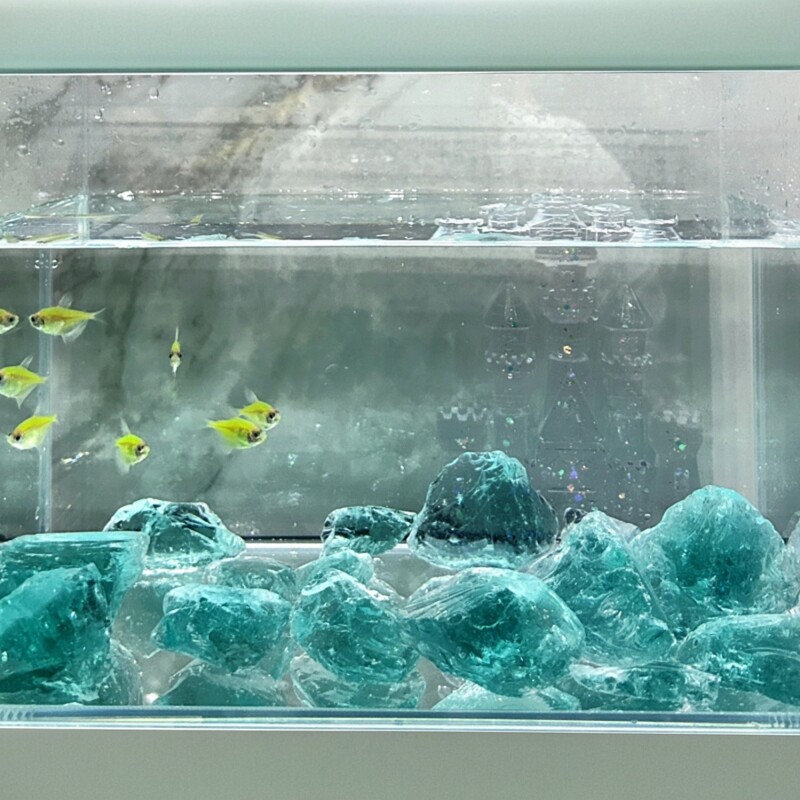 【环保无棱】水族世界鱼缸底砂彩造景/装饰