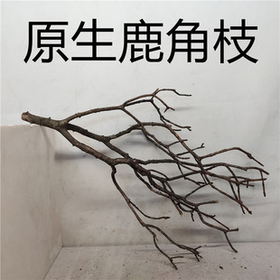 纯天然鹿角枝黄梨枝带皮原生南美雨林鱼缸造景素材装饰