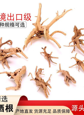 杜鹃根栖根紫柚沉木鱼缸造景素材水草缸树根树枝爬宠装饰一木成景