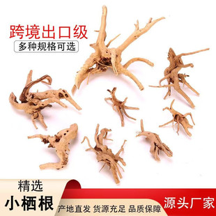 杜鹃根栖根紫柚沉木鱼缸造景素材水草缸树根树枝爬宠装饰一木成景