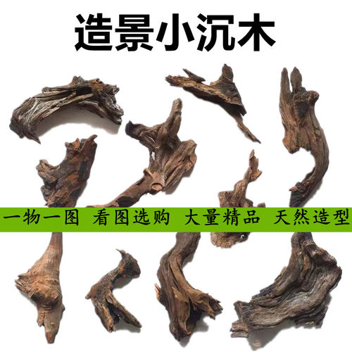 沉木鱼缸造景乌龟晒台南美
