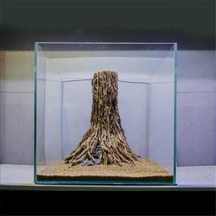 树桩沉木生命之树南美缸水草鱼缸造景骨架造景杜鹃根沉木泰国枝树