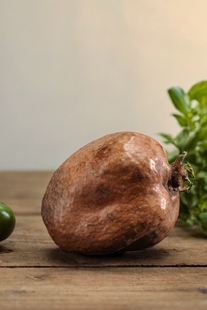 佛心果原籽灯芯菩提原料手串挂坠释迦菩提原果菩提果单颗大果把件