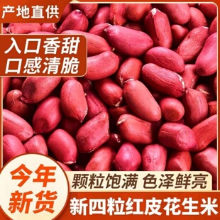 红皮花生米生新货红皮新鲜花生米红皮花生米搭配熬粥好吃农家自种