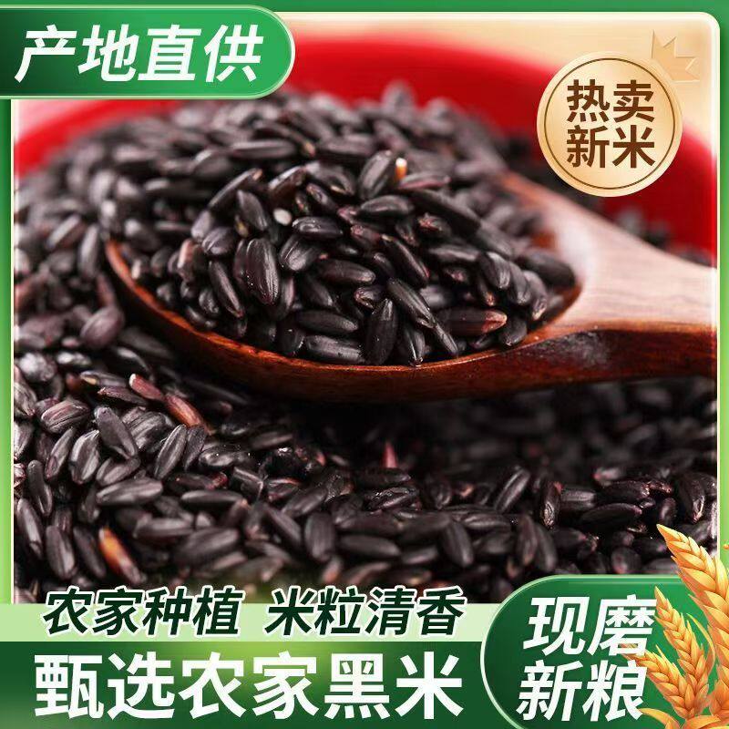 云南正宗农家黑米家用五谷杂粮黑香米煮粥黑大米糙米多规格可选