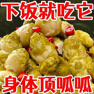 正宗四川泡菜鲜嫩脆爽泡儿菜新鲜麻辣开胃酸辣腌制开胃菜特产特惠