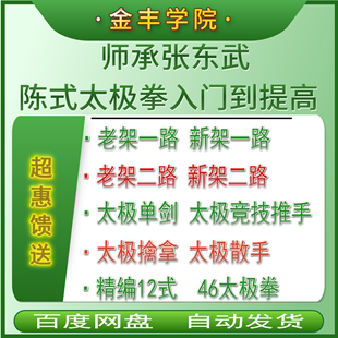 张东某师传陈式 太极拳实战技击47集老架一路推手散手武术视频课程