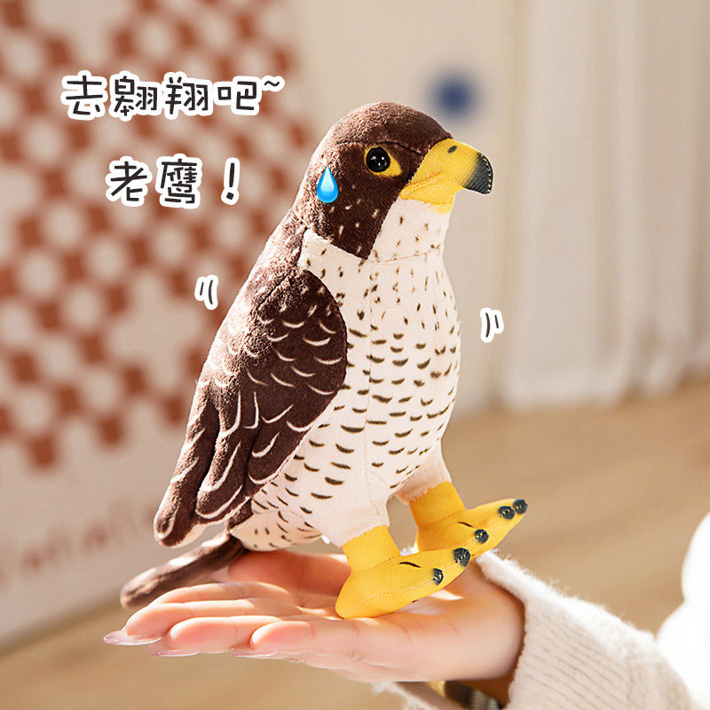 仿真老鹰公仔雄鹰玩偶小鸟儿毛绒玩具儿童认知布娃娃摆件男孩礼物
