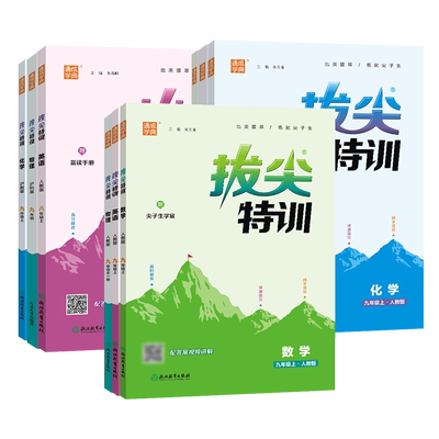 通城学典拔尖特训7-9年级上下册