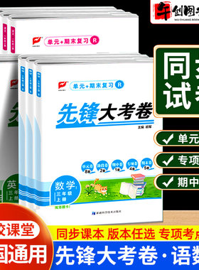 名校课堂先锋大考卷专项考点突破