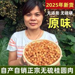 2025年新货博白桂圆肉干无核桂圆干自产自销无硫龙眼肉干元肉500g