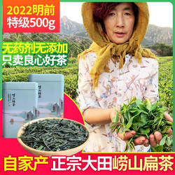 崂山绿茶2022新茶春茶大田扁茶特级500g散装礼盒装豆香浓青岛特产