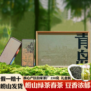 青岛崂山绿茶2025新茶春茶叶礼盒装 山东青岛特产豌豆香足耐泡送礼