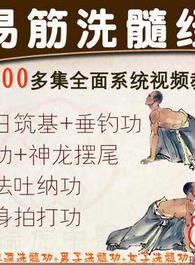 易筋经洗髓经视频教程站桩拍打健身气功垂吊铁裆中医养生网课程