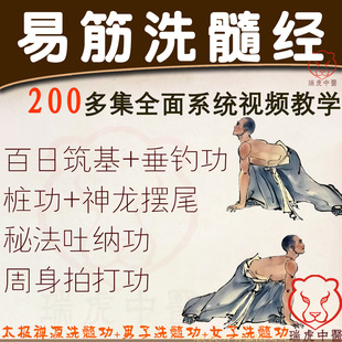 易筋经洗髓经视频教程站桩拍打健身气功垂吊铁裆中医养生网课程