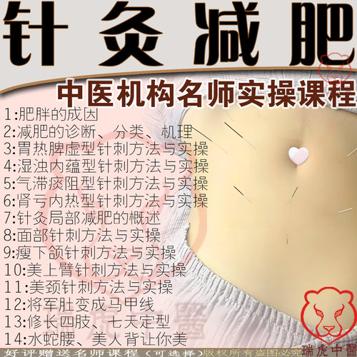 中医针灸减肥教程辨证取穴针法针刀资料经络穴位美容美体视频课程